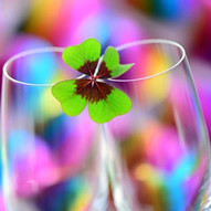 Neujahrsempfang mit Sportlerehrung und Verleihung des Bürgerpreises