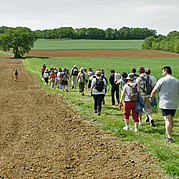 Wanderung durch die Kornfelder der Probstei